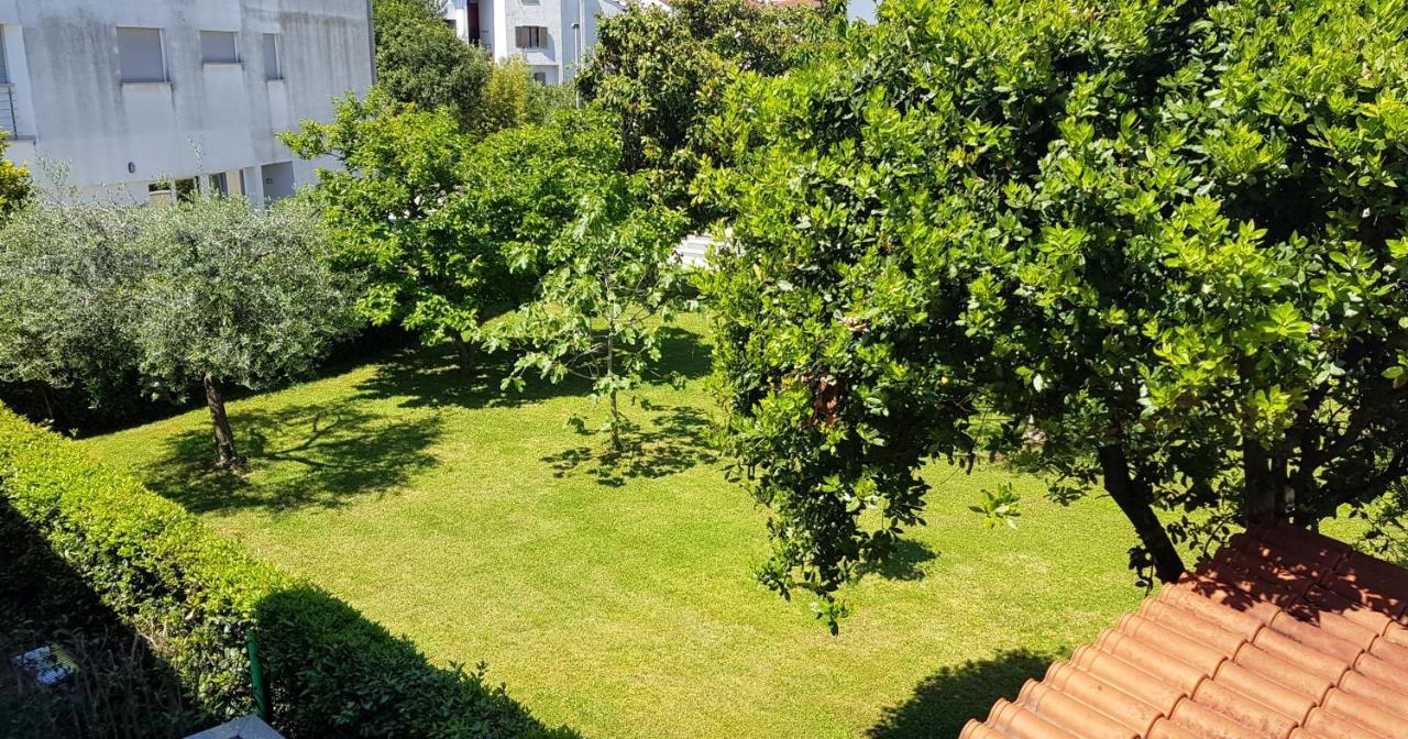 Paradise Beach Apartments Ρόβινι Εξωτερικό φωτογραφία