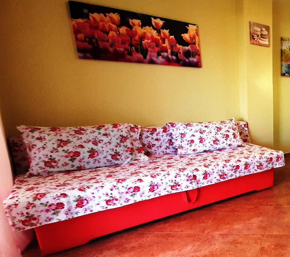 Paradise Beach Apartments Ρόβινι Εξωτερικό φωτογραφία